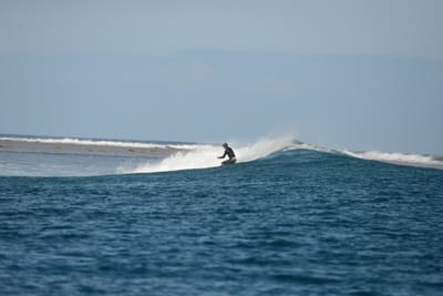 DSC_0785.JPG