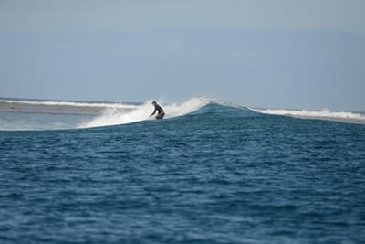 DSC_0786.JPG