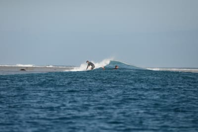 DSC_0788.JPG