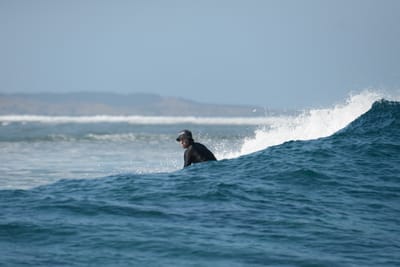 DSC_0375.JPG
