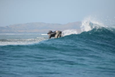 DSC_0376.JPG