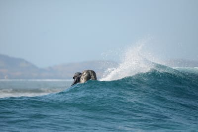 DSC_0377.JPG