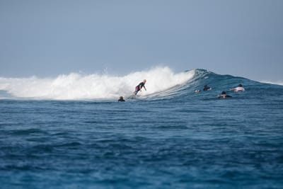 DSC_0410.JPG