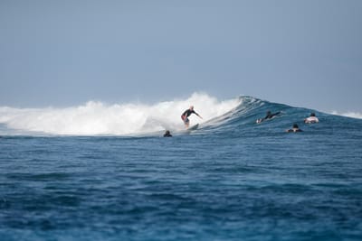 DSC_0411.JPG