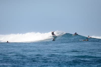 DSC_0412.JPG