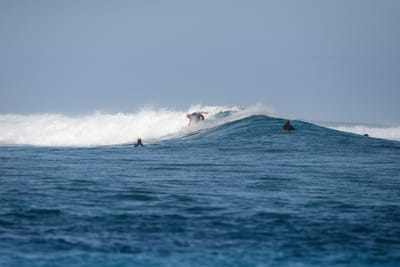 DSC_0413.JPG
