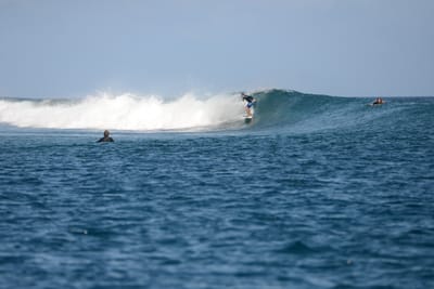 DSC_0421.JPG