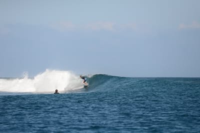 DSC_0422.JPG