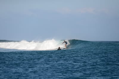DSC_0423.JPG