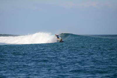 DSC_0424.JPG