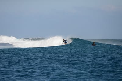 DSC_0425.JPG