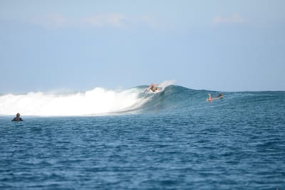 DSC_0427.JPG