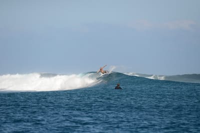DSC_0430.JPG