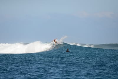 DSC_0431.JPG
