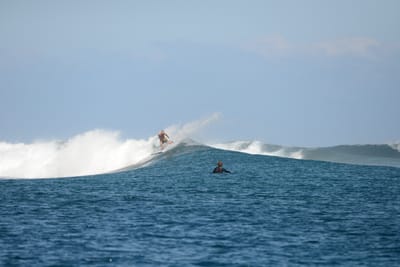 DSC_0432.JPG