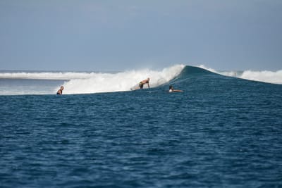 DSC_0433.JPG