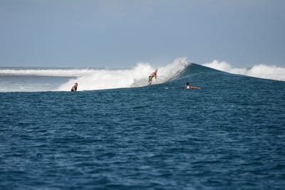 DSC_0434.JPG