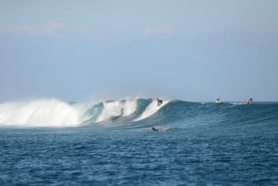 DSC_0436.JPG