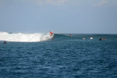 DSC_0437.JPG