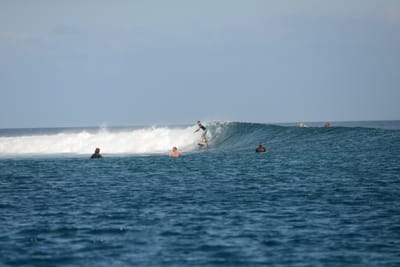 DSC_0438.JPG