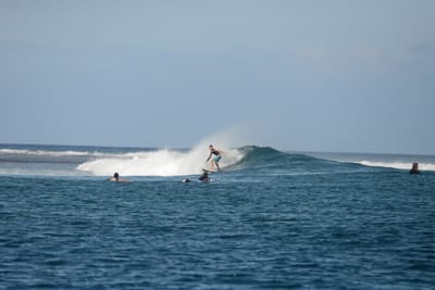 DSC_0439.JPG