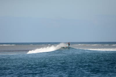 DSC_0440.JPG