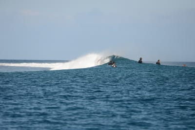 DSC_0445.JPG