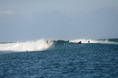 DSC_0446.JPG