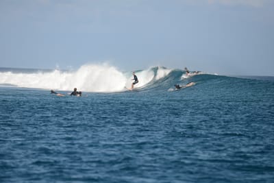 DSC_0447.JPG