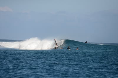 DSC_0448.JPG