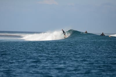 DSC_0449.JPG