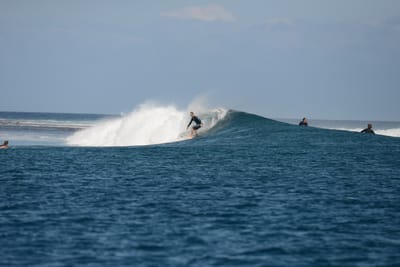 DSC_0450.JPG
