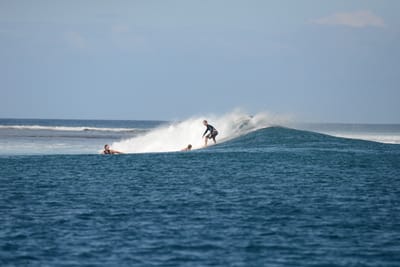 DSC_0451.JPG