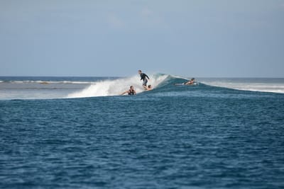 DSC_0452.JPG