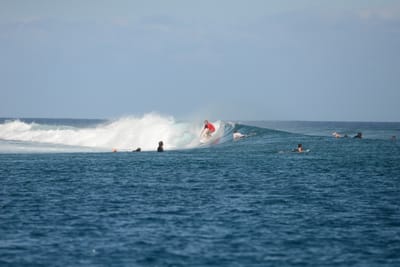 DSC_0453.JPG
