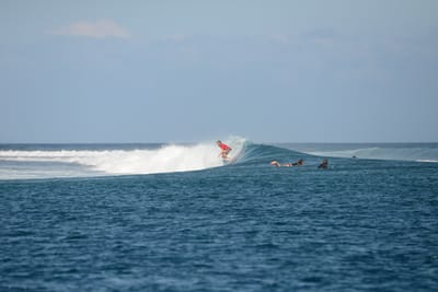 DSC_0454.JPG