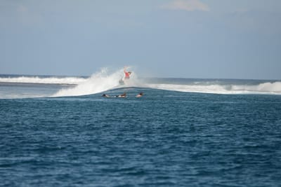 DSC_0459.JPG