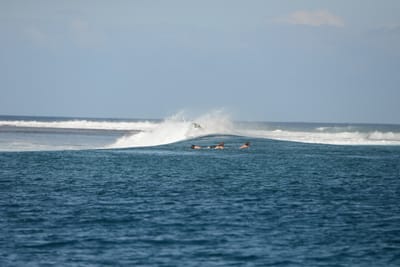 DSC_0460.JPG