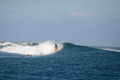 DSC_0461.JPG