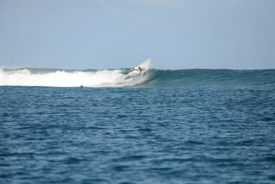 DSC_0462.JPG