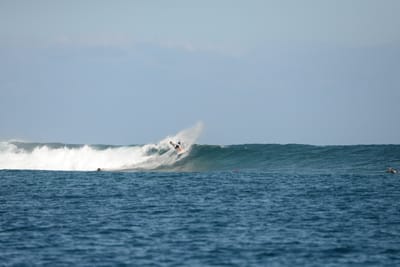 DSC_0463.JPG