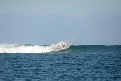 DSC_0464.JPG