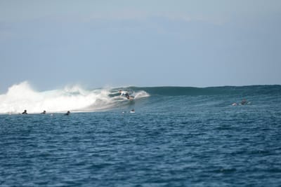 DSC_0465.JPG
