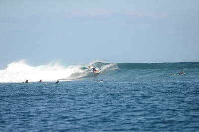 DSC_0466.JPG