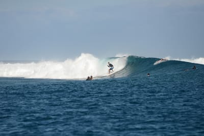 DSC_0467.JPG