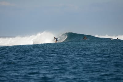 DSC_0468.JPG