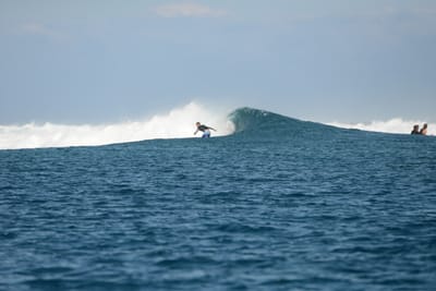 DSC_0469.JPG
