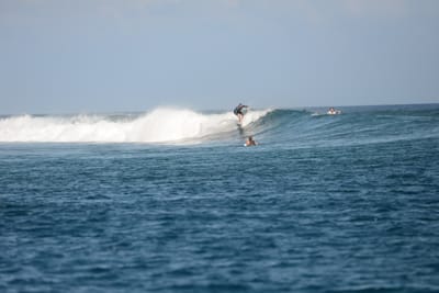 DSC_0470.JPG