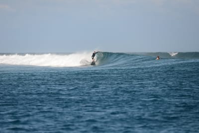 DSC_0471.JPG