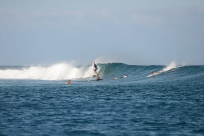 DSC_0472.JPG